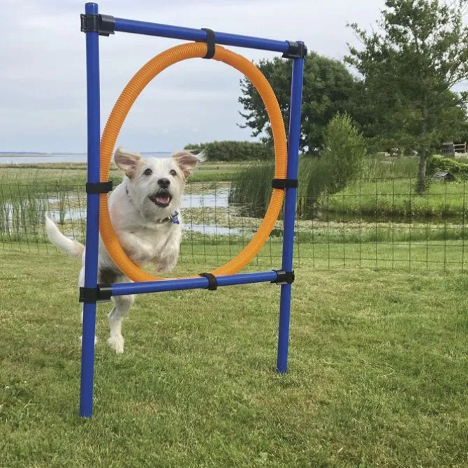 Trixie Agility Ring