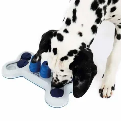 Trixie Dog Activity Flip Bone | Level 1