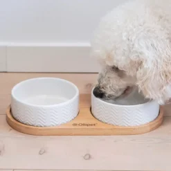 Trixie Skålesæt Med Ollipet Bambusholder Til Små Hunde | Z1