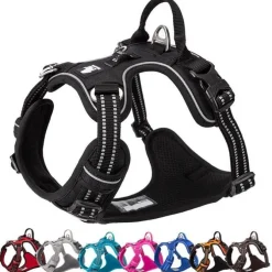 TrueLove Explosion Proof | LUKSUS Hundesele