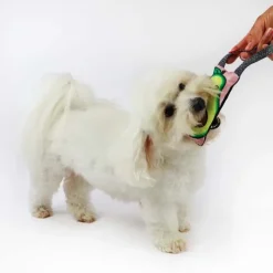 WauDog Fun Mini Dummy