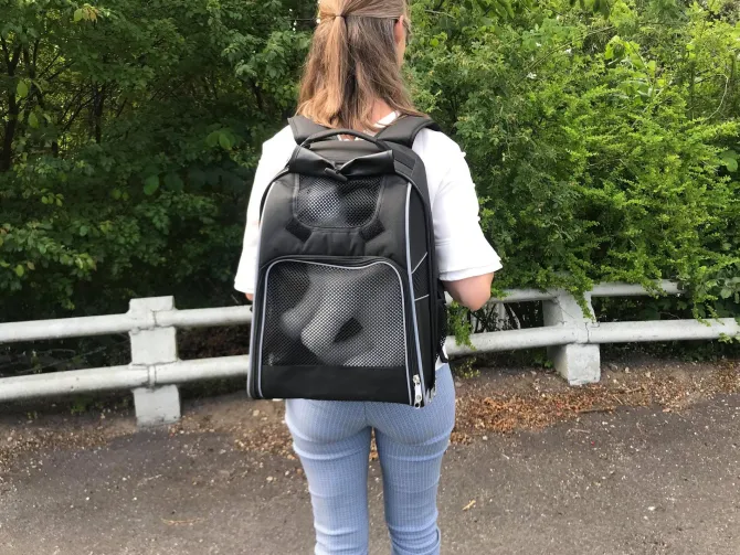 William Backpack | Hunderygsæk